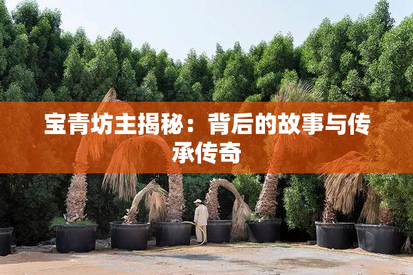 宝青坊主揭秘：背后的故事与传承传奇