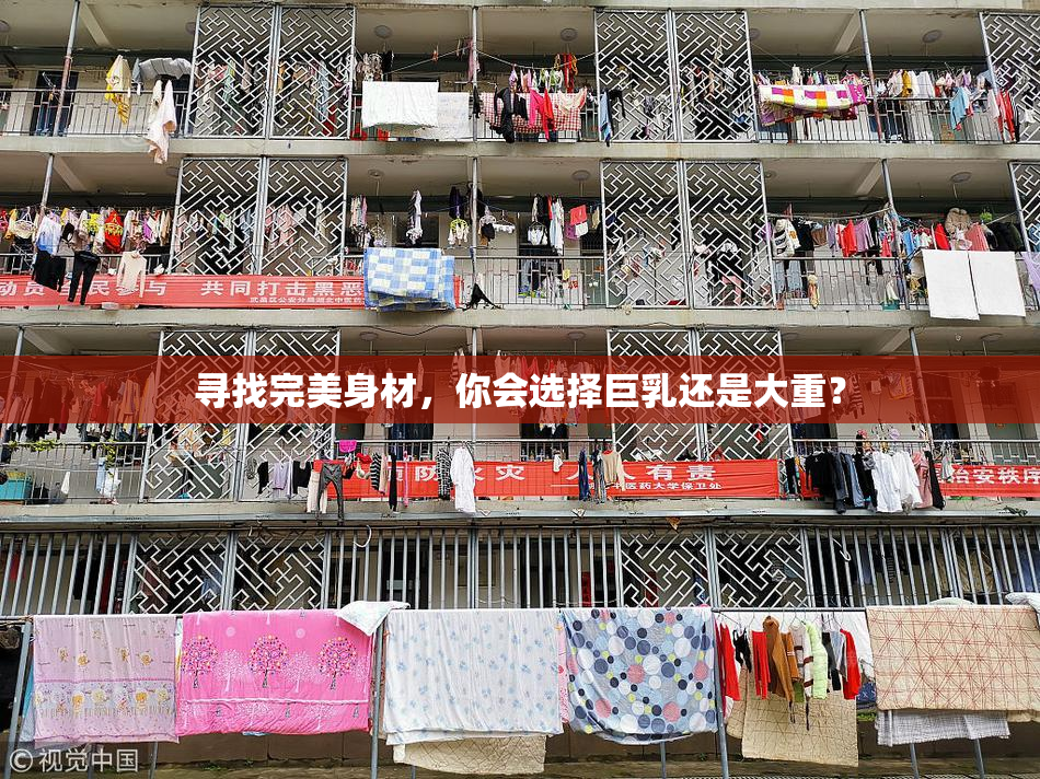 寻找完美身材，你会选择巨乳还是大重？