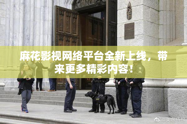 麻花影视网络平台全新上线，带来更多精彩内容！