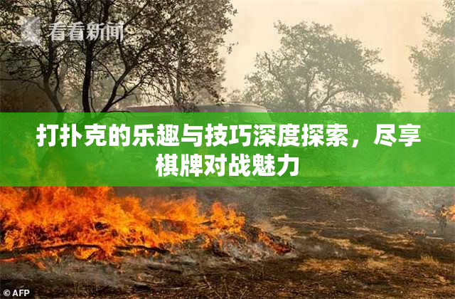 打扑克的乐趣与技巧深度探索，尽享棋牌对战魅力