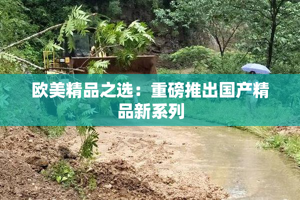 欧美精品之选：重磅推出国产精品新系列
