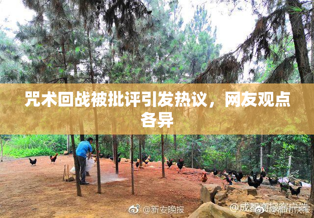 咒术回战被批评引发热议，网友观点各异