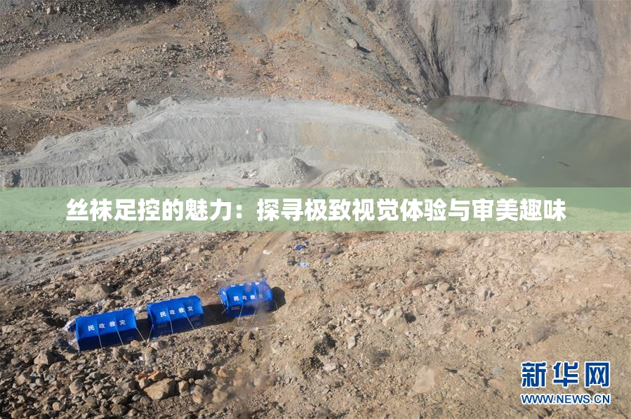 丝袜足控的魅力：探寻极致视觉体验与审美趣味
