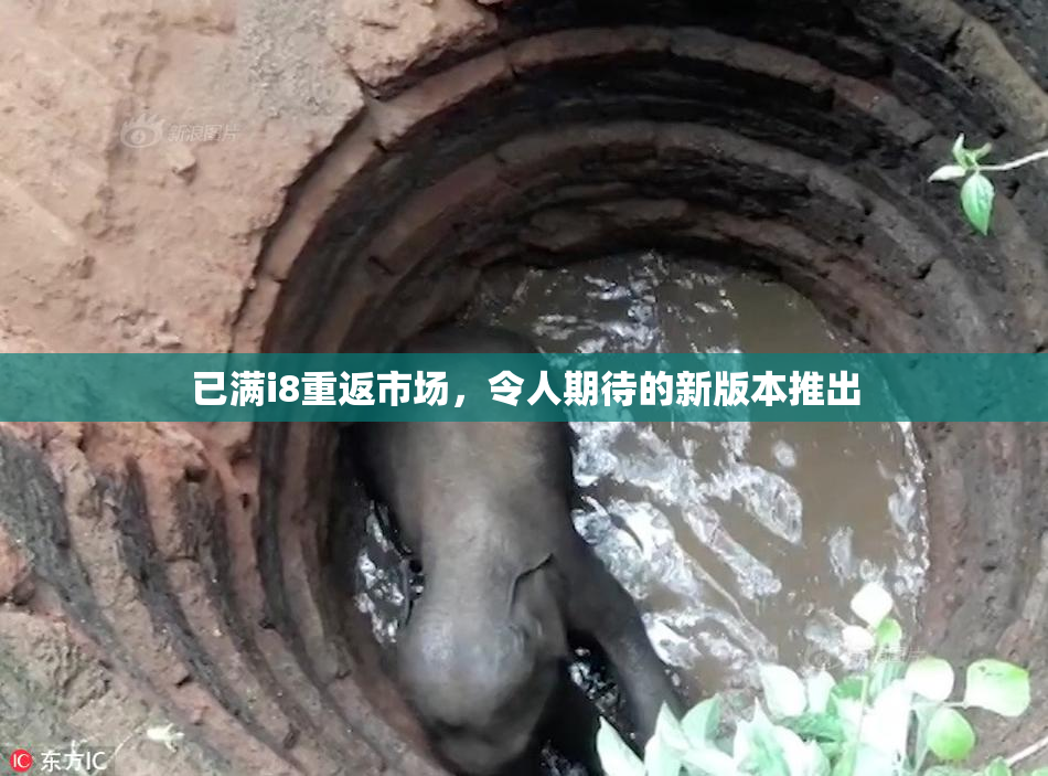已满i8重返市场，令人期待的新版本推出