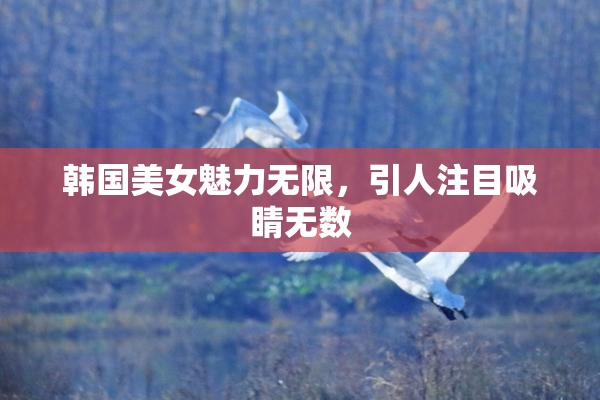 韩国美女魅力无限，引人注目吸睛无数