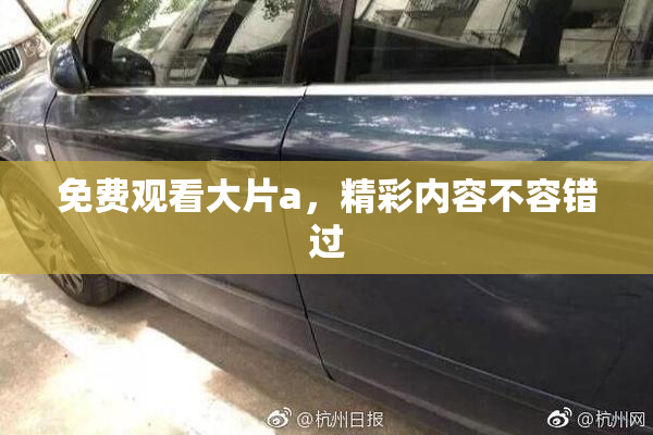 免费观看大片a，精彩内容不容错过