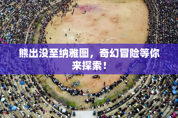 熊出没至纳雅图，奇幻冒险等你来探索！