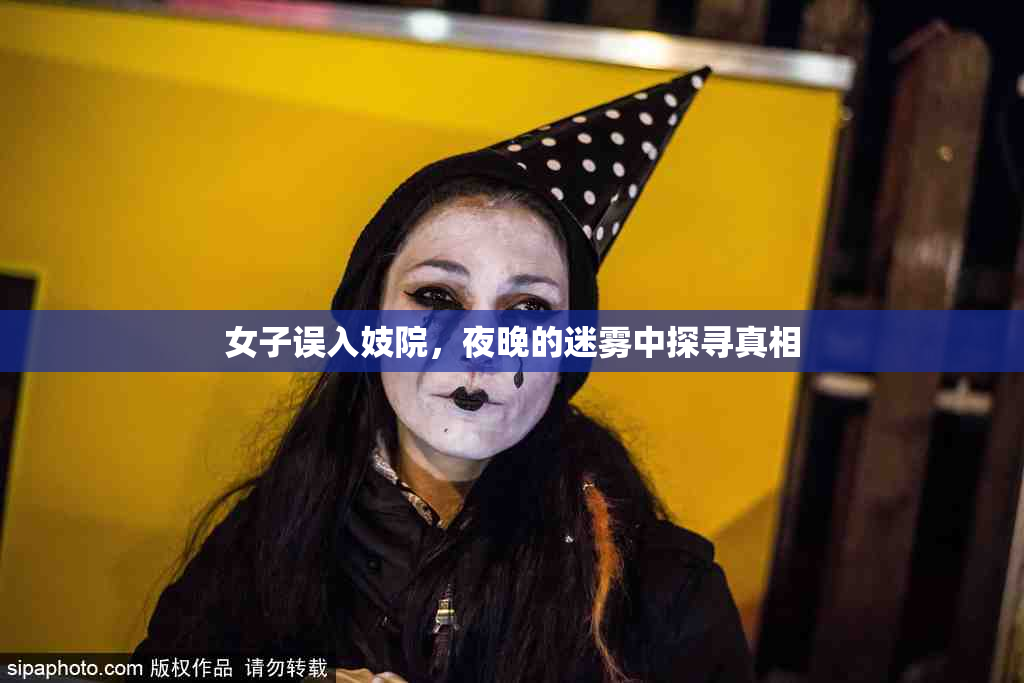女子误入妓院，夜晚的迷雾中探寻真相