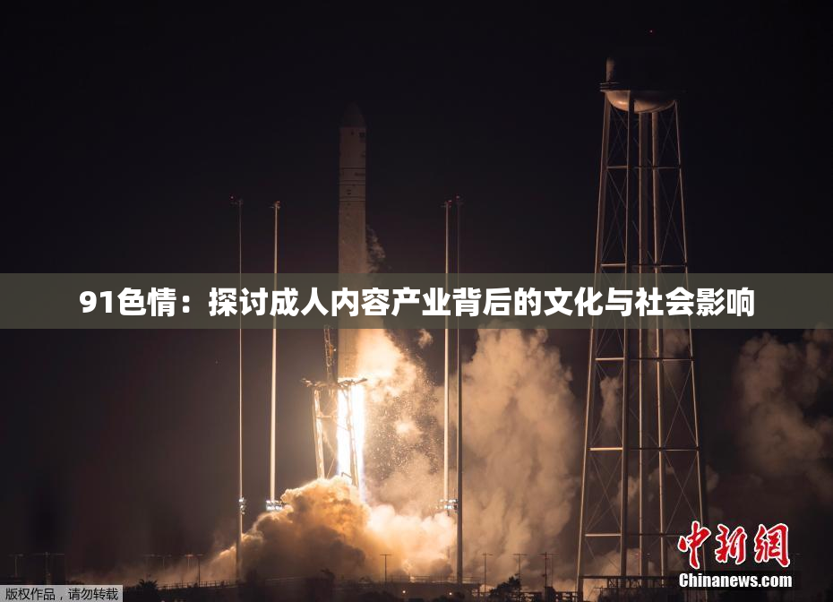 91色情：探讨成人内容产业背后的文化与社会影响