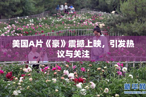 美国A片《豪》震撼上映，引发热议与关注