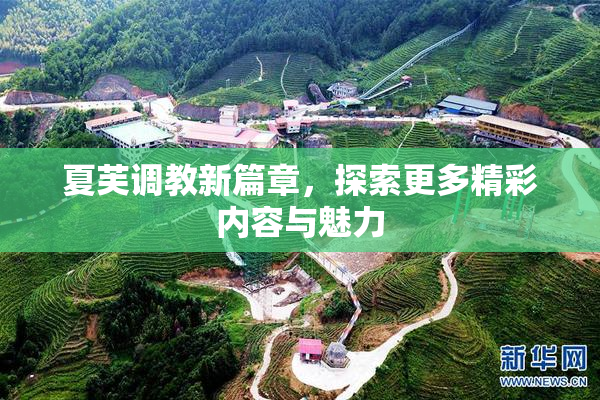 夏芙调教新篇章，探索更多精彩内容与魅力