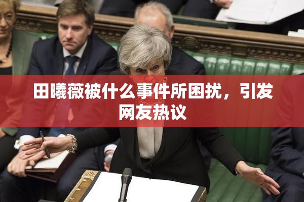田曦薇被什么事件所困扰，引发网友热议