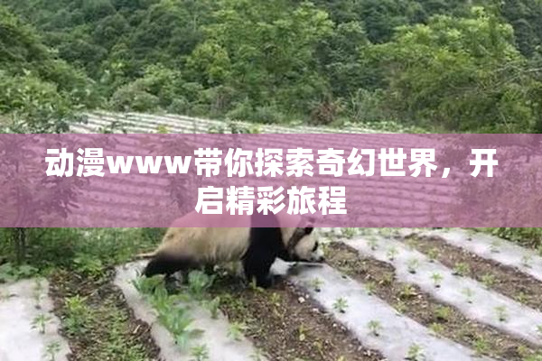 动漫www带你探索奇幻世界，开启精彩旅程