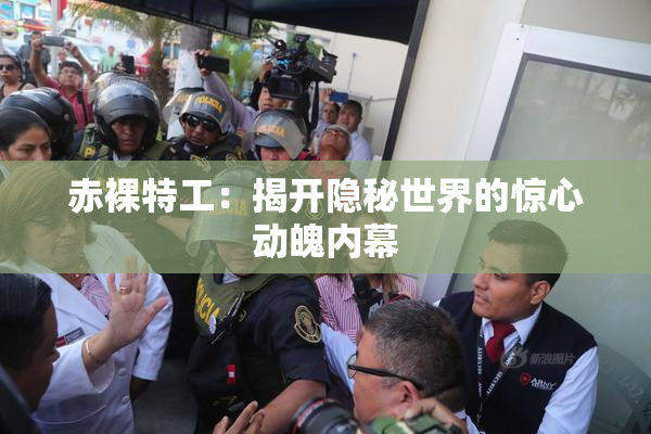 赤裸特工：揭开隐秘世界的惊心动魄内幕