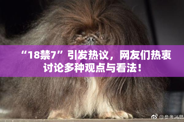 “18禁7”引发热议，网友们热衷讨论多种观点与看法！