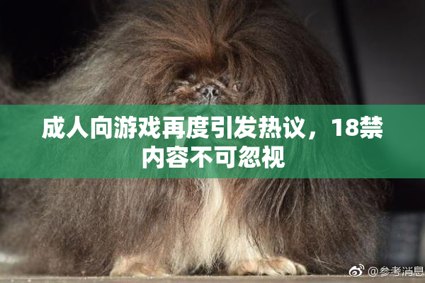 成人向游戏再度引发热议，18禁内容不可忽视