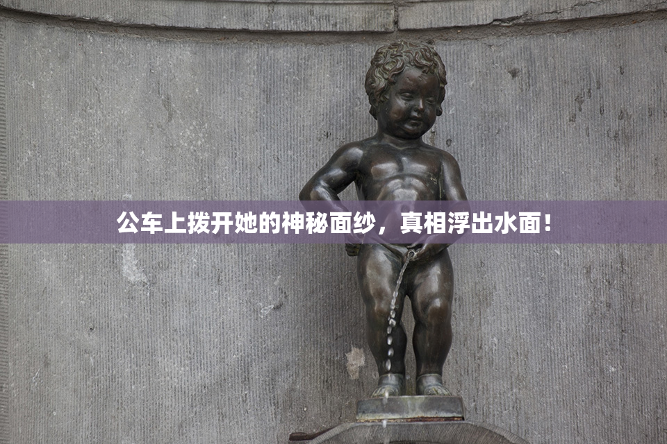 公车上拨开她的神秘面纱，真相浮出水面！
