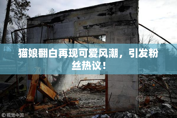猫娘翻白再现可爱风潮，引发粉丝热议！