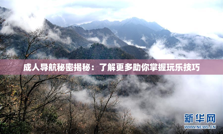 成人导航秘密揭秘：了解更多助你掌握玩乐技巧