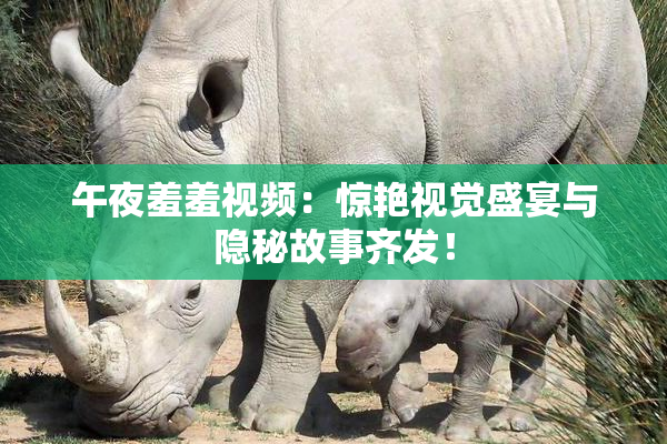 午夜羞羞视频：惊艳视觉盛宴与隐秘故事齐发！