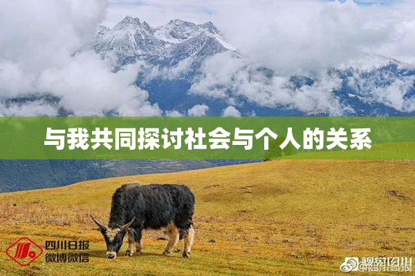 与我共同探讨社会与个人的关系