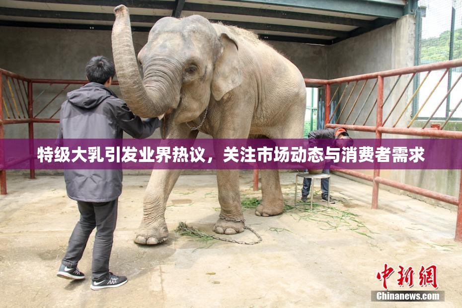 特级大乳引发业界热议，关注市场动态与消费者需求
