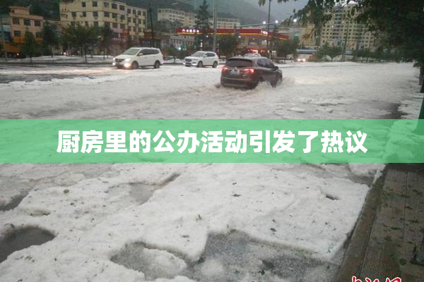 厨房里的公办活动引发了热议