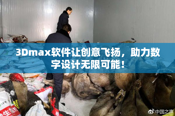 3Dmax软件让创意飞扬，助力数字设计无限可能！