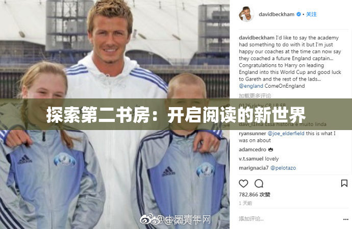 探索第二书房：开启阅读的新世界
