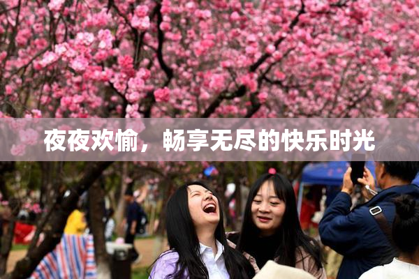 夜夜欢愉，畅享无尽的快乐时光