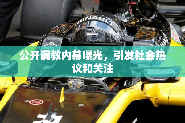公开调教内幕曝光，引发社会热议和关注