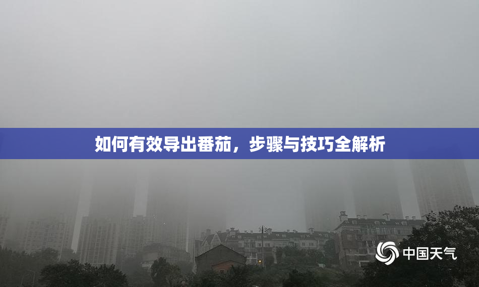 如何有效导出番茄，步骤与技巧全解析