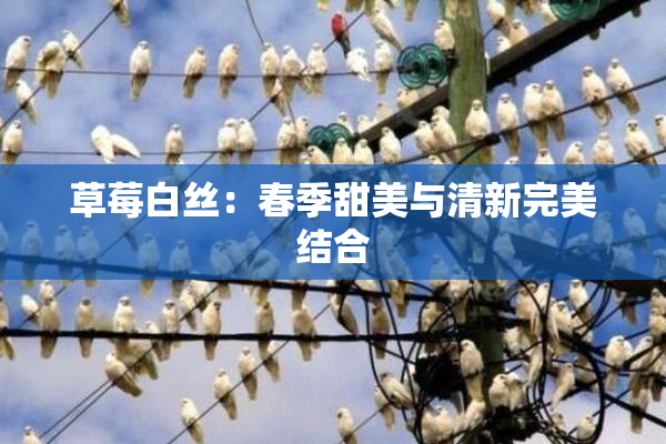 草莓白丝：春季甜美与清新完美结合