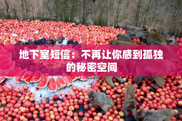 地下室短信：不再让你感到孤独的秘密空间