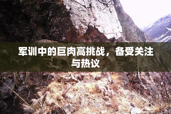 军训中的巨肉高挑战，备受关注与热议