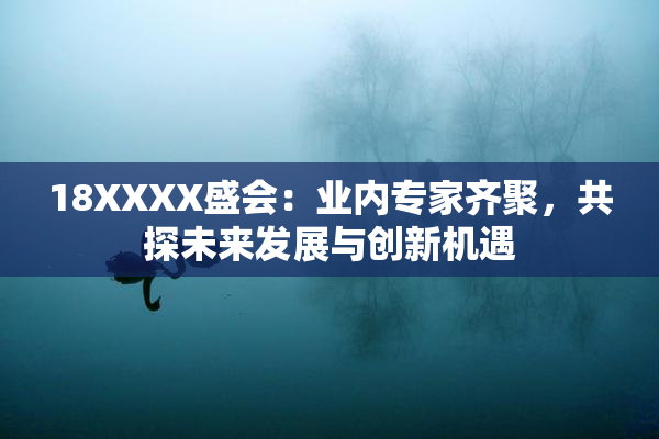 18XXXX盛会：业内专家齐聚，共探未来发展与创新机遇