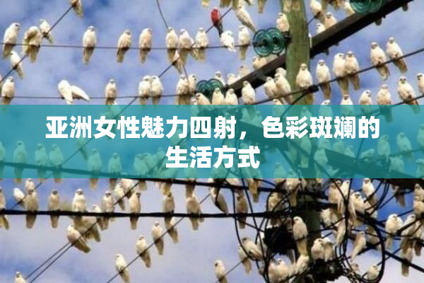 亚洲女性魅力四射，色彩斑斓的生活方式