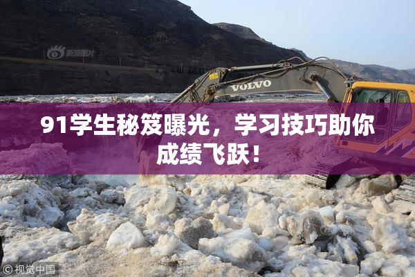 91学生秘笈曝光，学习技巧助你成绩飞跃！