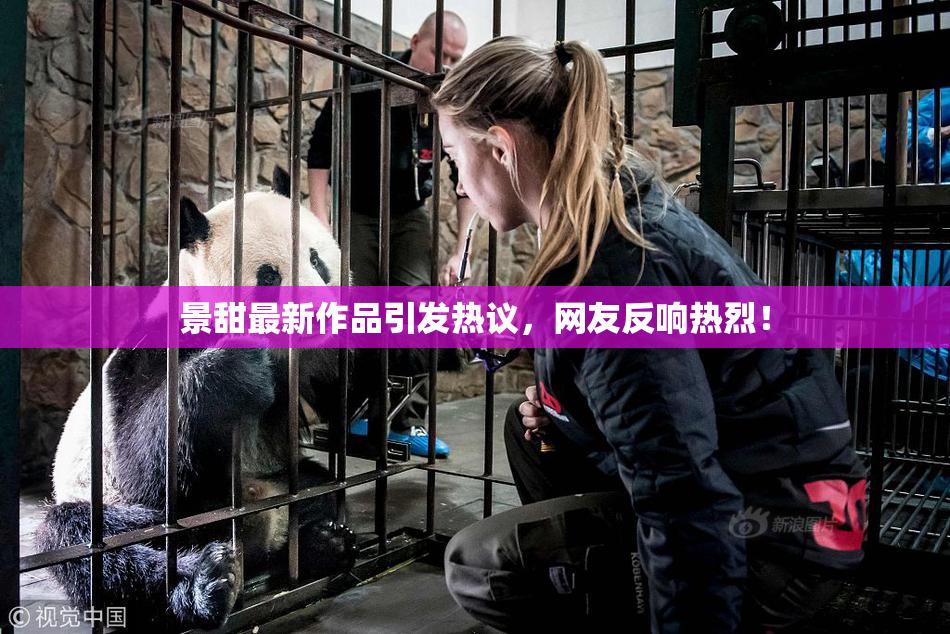 景甜最新作品引发热议，网友反响热烈！