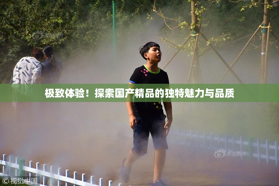 极致体验！探索国产精品的独特魅力与品质