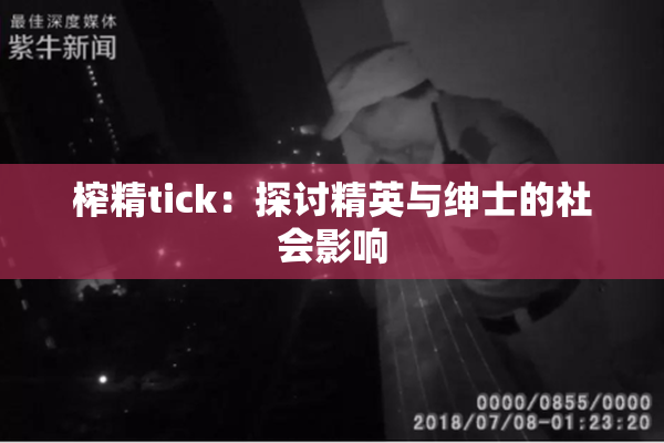 榨精tick：探讨精英与绅士的社会影响