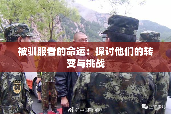 被驯服者的命运：探讨他们的转变与挑战