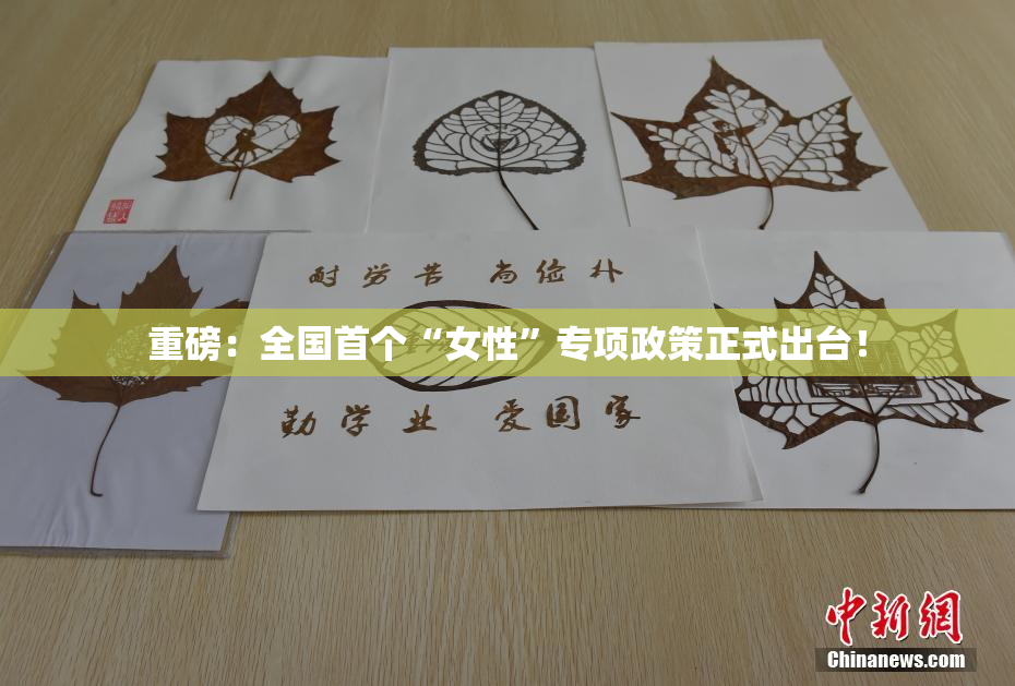 重磅：全国首个“女性”专项政策正式出台！