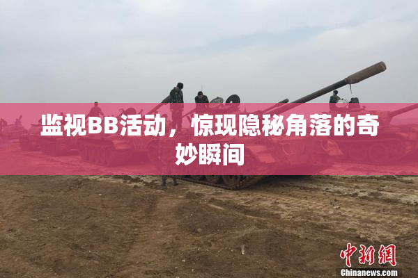 监视BB活动，惊现隐秘角落的奇妙瞬间