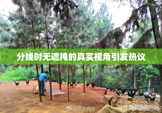 分娩时无遮掩的真实视角引发热议
