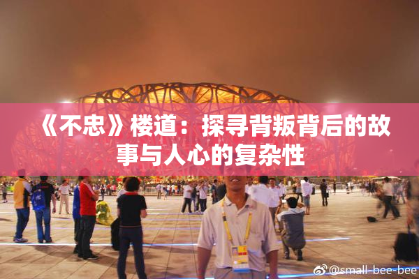《不忠》楼道：探寻背叛背后的故事与人心的复杂性