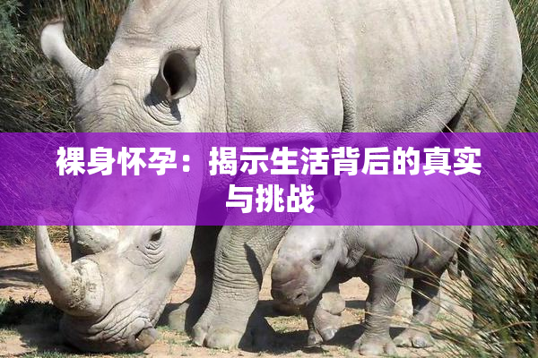 裸身怀孕：揭示生活背后的真实与挑战