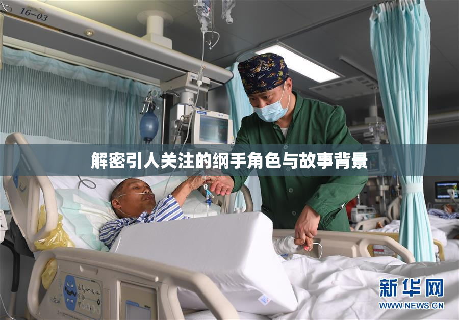 解密引人关注的纲手角色与故事背景
