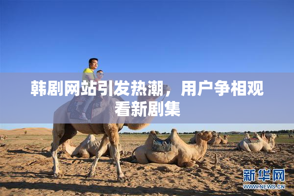 韩剧网站引发热潮，用户争相观看新剧集