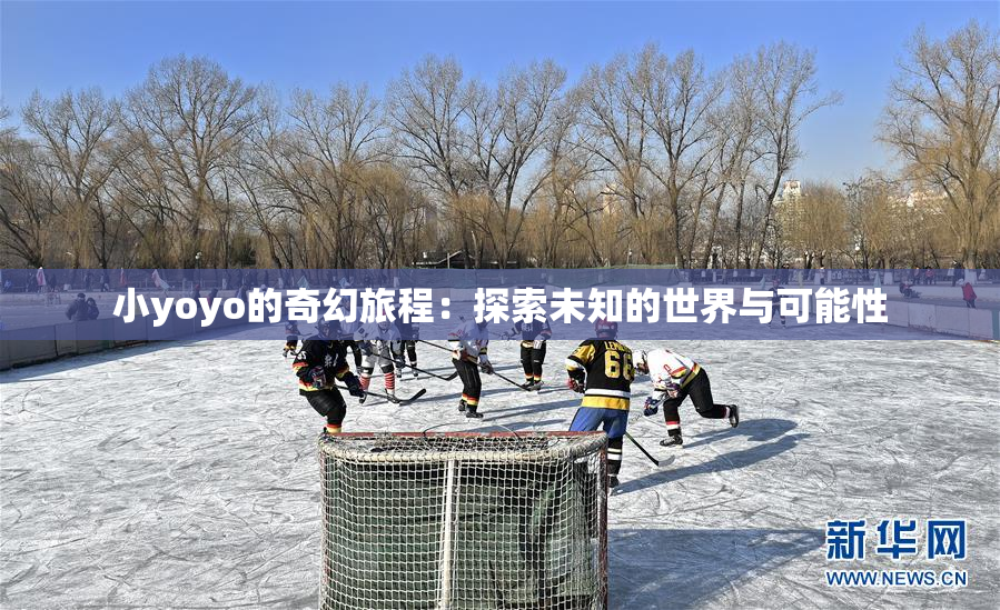 小yoyo的奇幻旅程：探索未知的世界与可能性